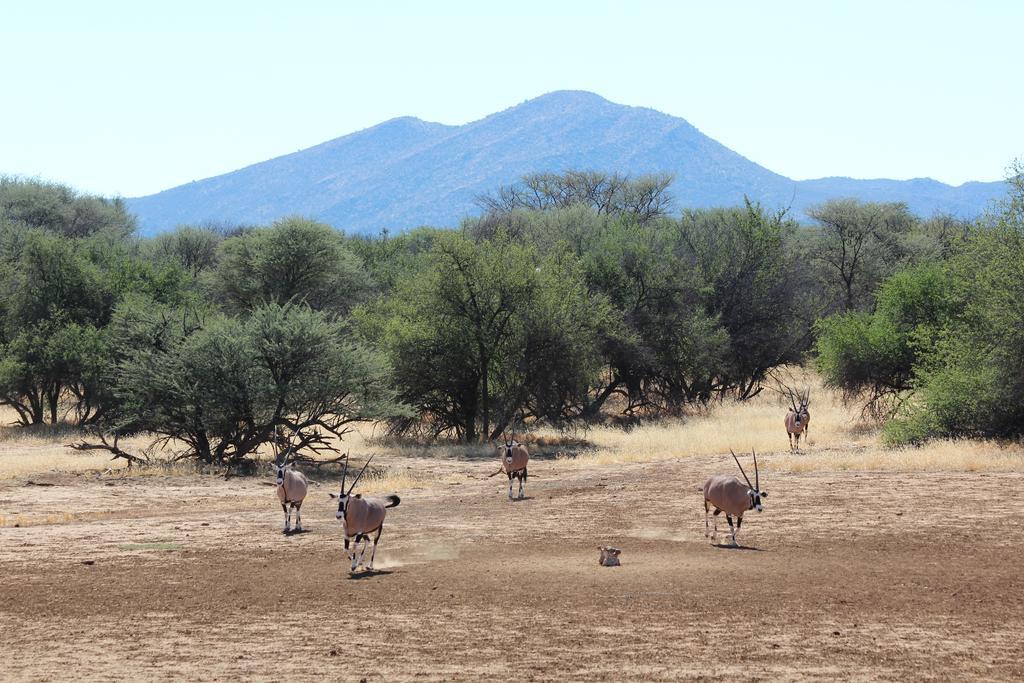 Haasenhof Gaestefarm Okahandja Exterior foto